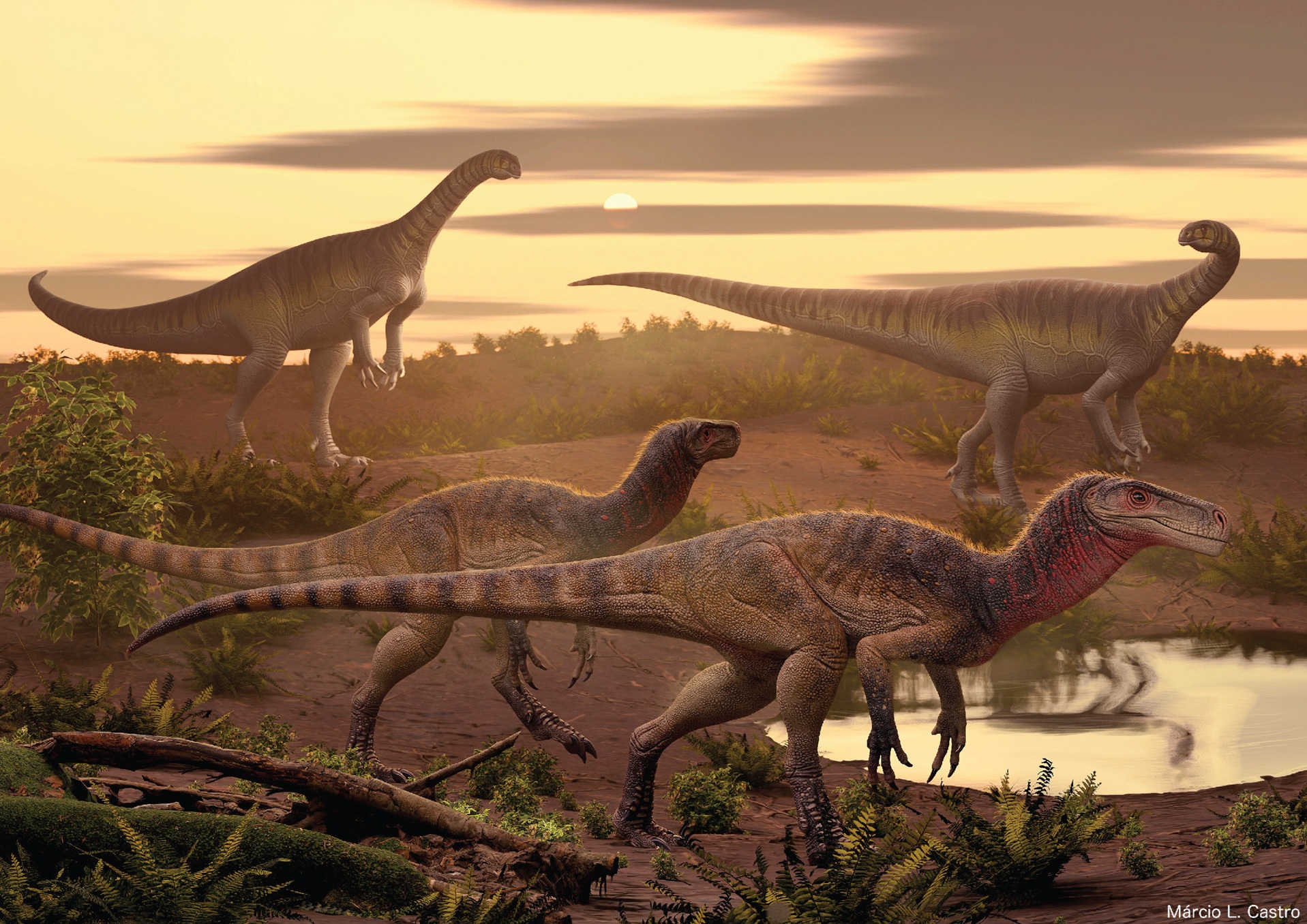 Výtvarná rekonstrukce ekosystému vývojově primitivního herrerasaura druhu Maleriraptor kuttyi (v pozadí dvojice sauropodomorfů druhu Jaklapallisaurus asymmetricus). Maleriraptor byl menší dravec, žijící v období pozdního triasu v oblasti současné již