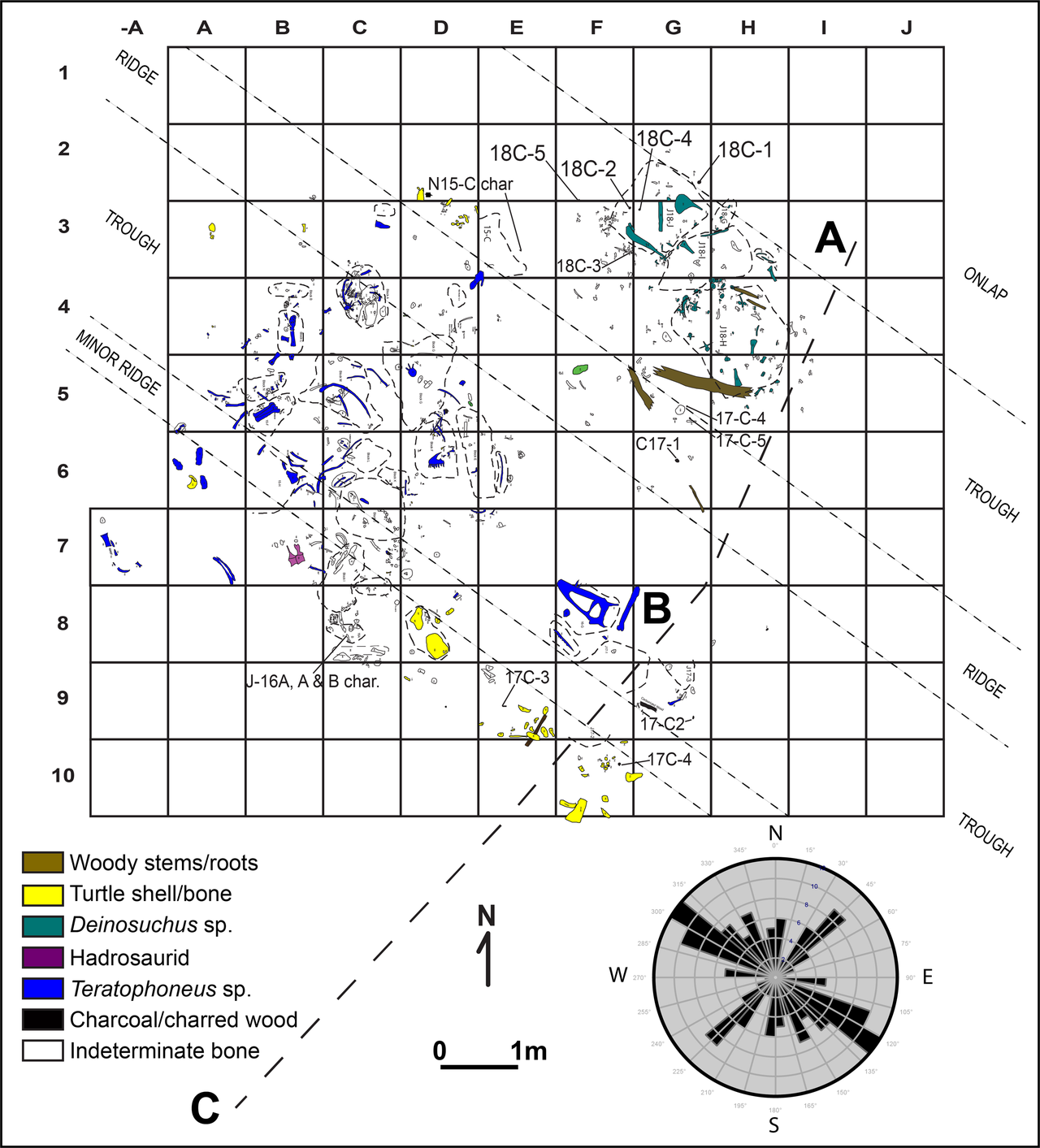 Podrobná mapa lokality se zakreslenými kosterními prvky teratofoneů (modrá barva). Z místa uložení fosilních kostí i dalších zkamenělých objektů je patrné, že pohřbení živočichové zde zahynuli při jakési živelné pohromě, mající nejspíš podobu mohutný