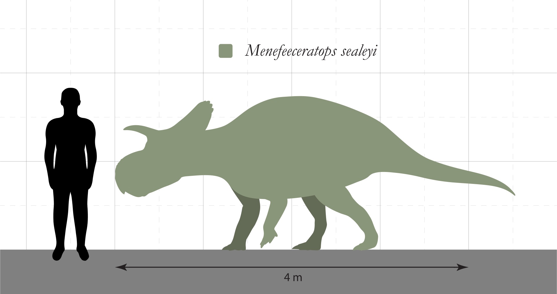 Silueta rohatého dinosaura druhu Menefeeceratops sealeyi, formálně popsaného v loňském roce ze sedimentů geologického souvrství Menefee na území amerického státu Nové Mexiko. Při stáří 83,5 až 80 milionů let se jedná o potenciálně nejstaršího známého