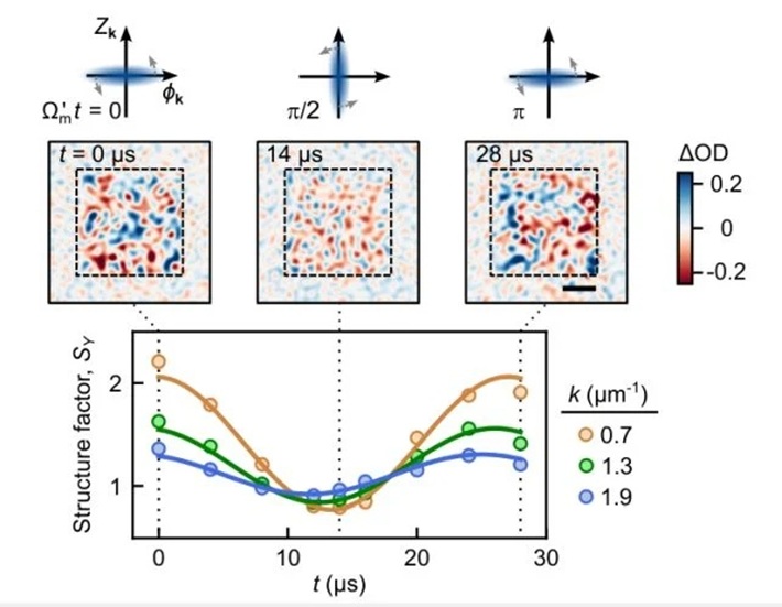 Přímé zobrazení kvantových fluktuací. Kredit: Zhang et al. (2026), arXiv.