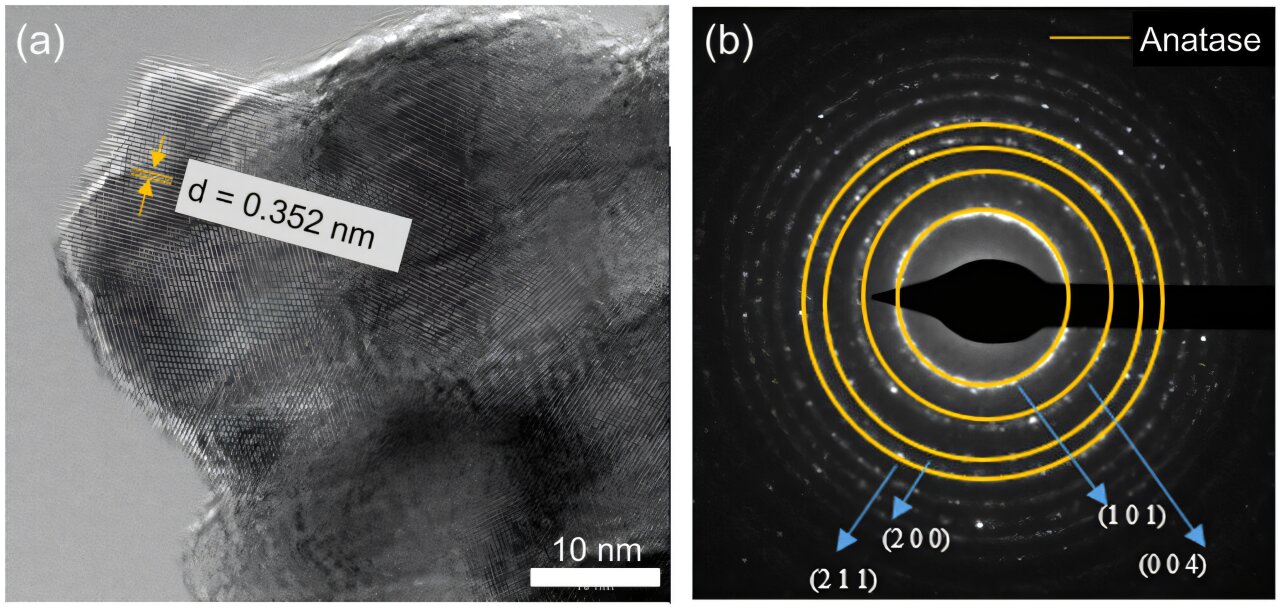 Nanotech deka v nanoměřítku. Kredit: Mikaeili et al. (2025), Advanced Science.