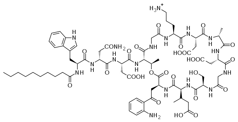 Lipopeptid daptomycin. Kredit: Fvasconcellos / Wikimedia Commons.