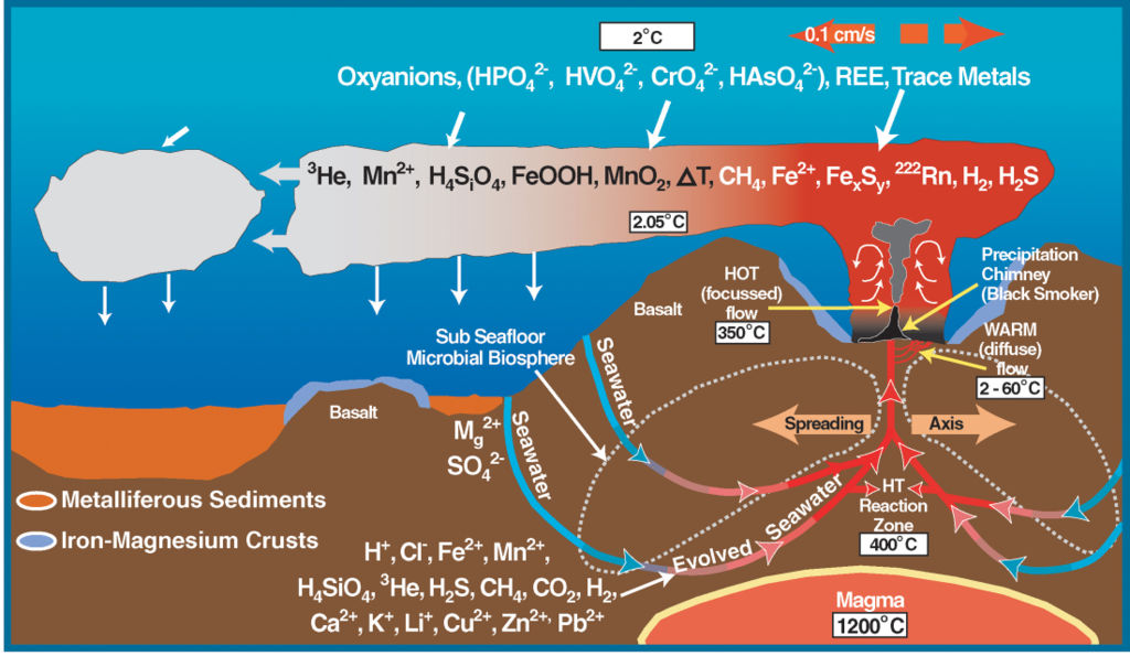 SloĹľitĂ˝ svÄ›t podmoĹ™skĂ˝ch kuĹ™ĂˇkĹŻ. Kredit: NOAA.