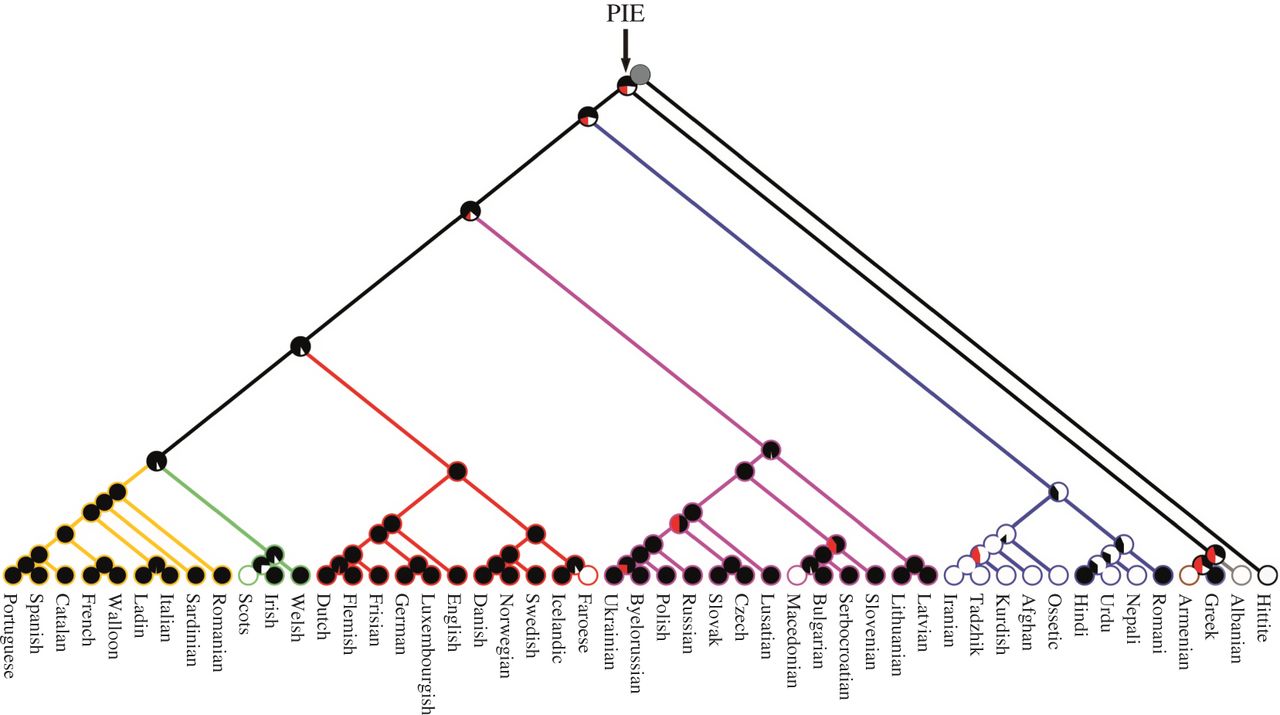 EvoluÄŤnĂ­ historie indoevropskĂ˝ch jazykĹŻ, zahrnutĂ˝ch ve studii. Kredit: Da Silva & Tehrani (2016) Royal Society Open Science.