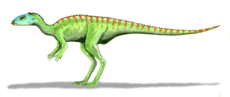 Gasparinisaura byl velmi malĂ˝ ornitopod, kterĂ˝ se pĹ™i svĂ© velikosti pĹ™ed teropody zachraĹ?oval pouze rychlĂ˝m ĂştÄ›kem. Kredit: Nobu Tamura, licence CC BY 3.0 (Wikipedie)
