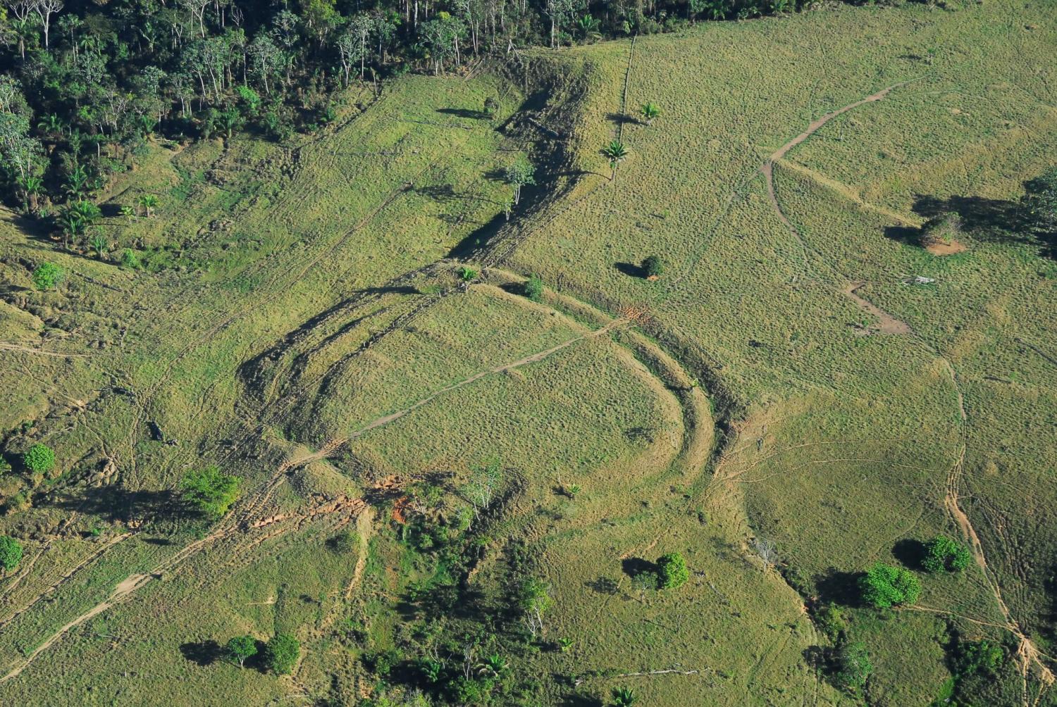 Geoglyf v Amazonii. Kredit: J. Watling.