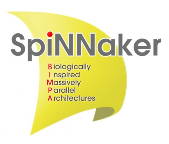 Projekt SpiNNaker.