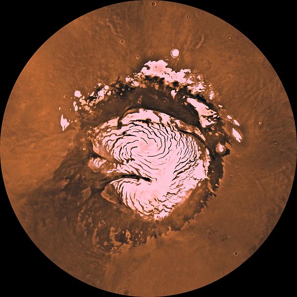 ZvonĂ­ jim hrana? SevernĂ­ polĂˇrnĂ­ ÄŤepiÄŤka Marsu. Kredit: NASA / JPL / USGS.