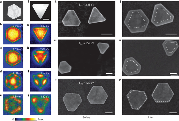 Plazmony Ĺ™Ă­zenĂˇ syntĂ©za nanoÄŤĂˇstic zlata. Kredit: Zhai et al. (2016), Nature.