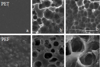 Snímky z rastrovacího elektronového mikroskopu – horní řádek vzorek PET: a/ povrch PET ; b/ po 96 hodinovém působení přírodní PETázy; c/ po 96 hod. působení upravené PETázy. Spodní řádek – to samé, ale s lépe degradovatelným PEF (polyetylén furanoát)