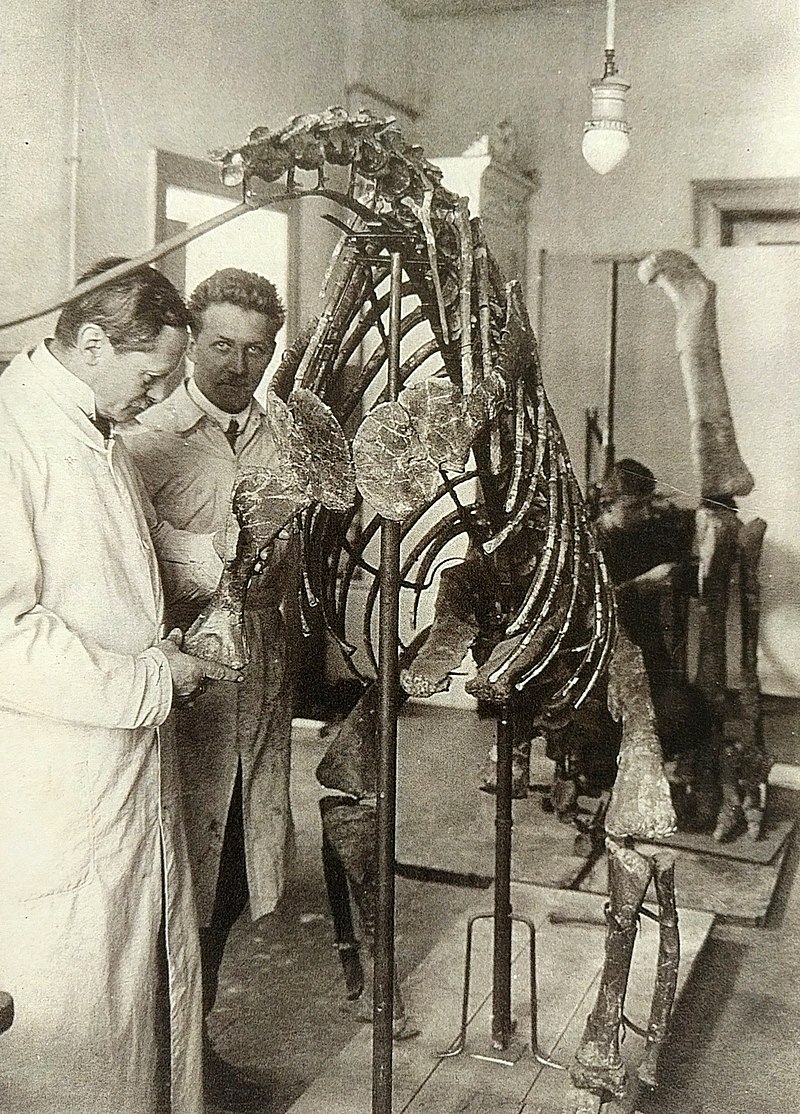 Fotografie paleontologa Otto Jaekela a preparátora Adolfa Ernsta von Zschock restaurujících kostru plateosaura objevenou v Halberstadtu. Snímek z roku 1912, pořízený v pracovnách Přírodovědeckého muzea v Berlíně. Kredit: Leipziger Illustrirte Zeitung