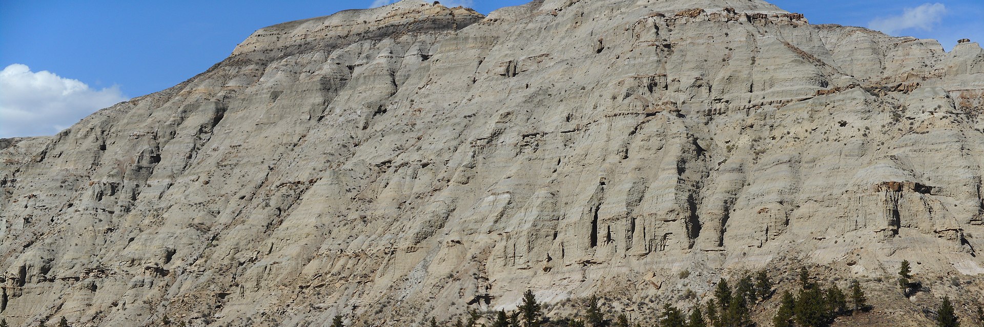 Sedimentární výchozy geologického souvrství Judith River v Montaně (na snímku oblast Upper Missouri Breaks National Monument). Přibližně v této oblasti objevil Ferdinand V. Hayden fosilní zuby druhu Deinodon horridus. Kredit: Kenneth Carpenter; Wikip