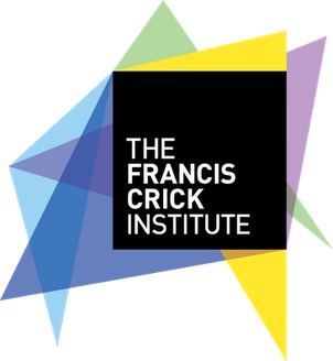 Francis Crick Institute 13