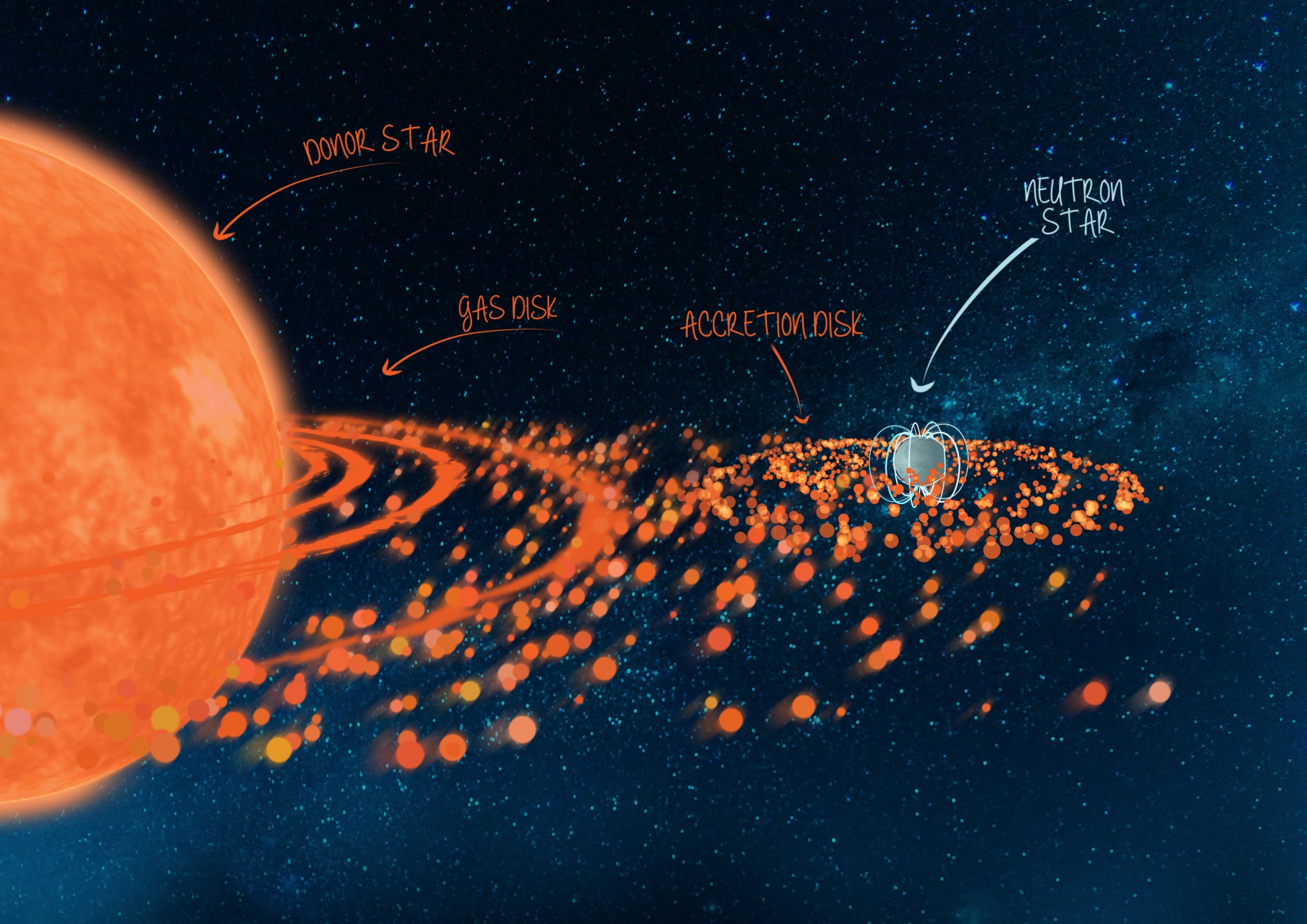 Binární systém s neutronovou hvězdou Swift J0243.6+6124. Kredit: ICRAR/University of Amsterdam.