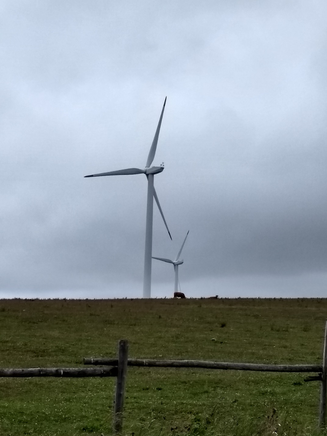 Větrné elektrárny v  decentralizované podobě jsou i v současné energetické koncepci, ale jejich potenciál je omezený. Větrné turbínu v Krušných horách. (Zdroj Vladimír Wagner).