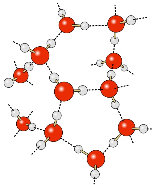 Vodíkové vazby mezi molekulami vody (černé přerušované čáry). Kredit: volně dostupné / Wikimedia Commons.