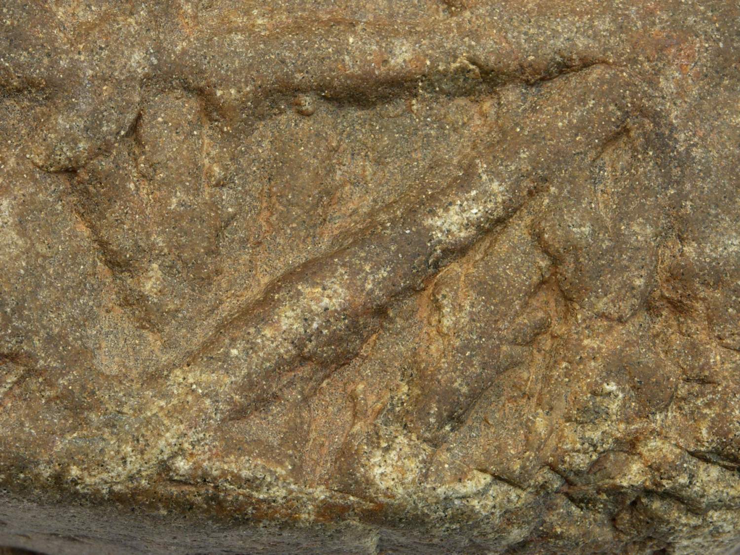 Pravděpodobně živočišné stopy Planolites v křemencovém souvku ze spodního kambria.  Kredit: Aleš Uhlíř.