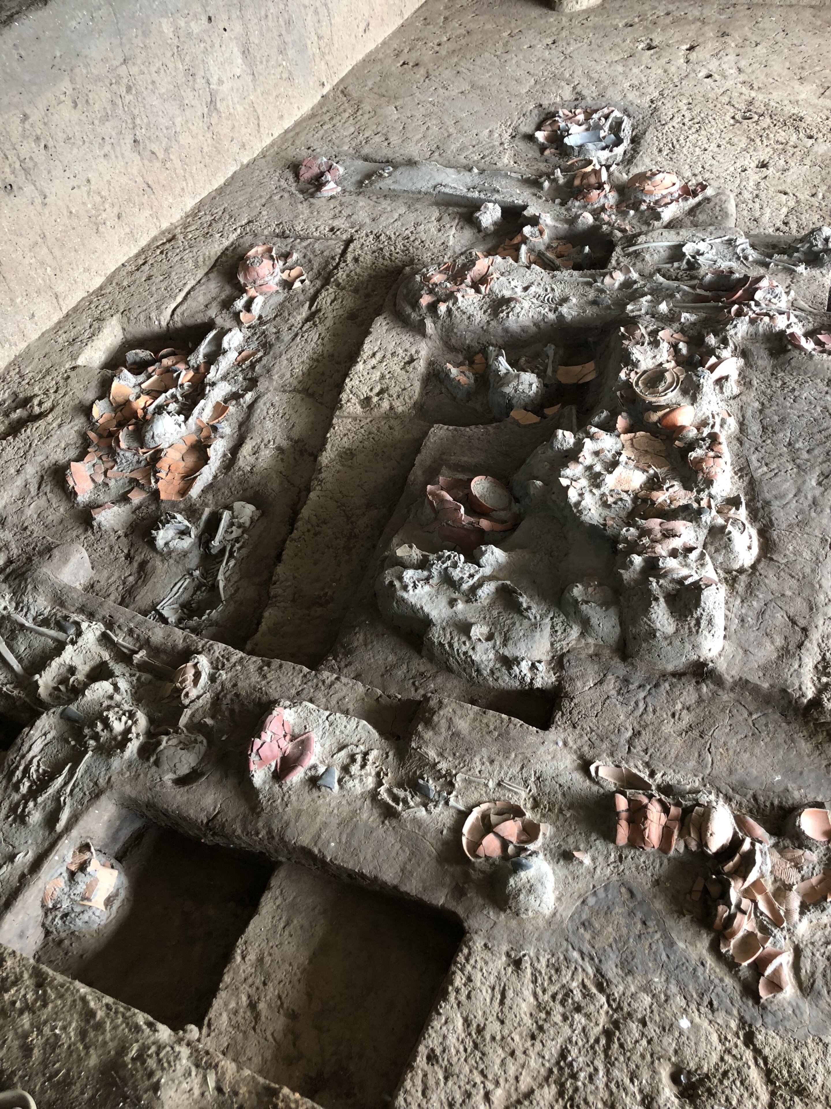 Lidskou oblibu psychoaktivních látek, konkrétně žvýkání betelu prokázala přítomnost arekolinu a arekaidinu v zubním kameni. Snímek archeologického nálezu v Nong Ratchawat z doby před 4 000 lety. Kredit: Piyawit Moonkham.