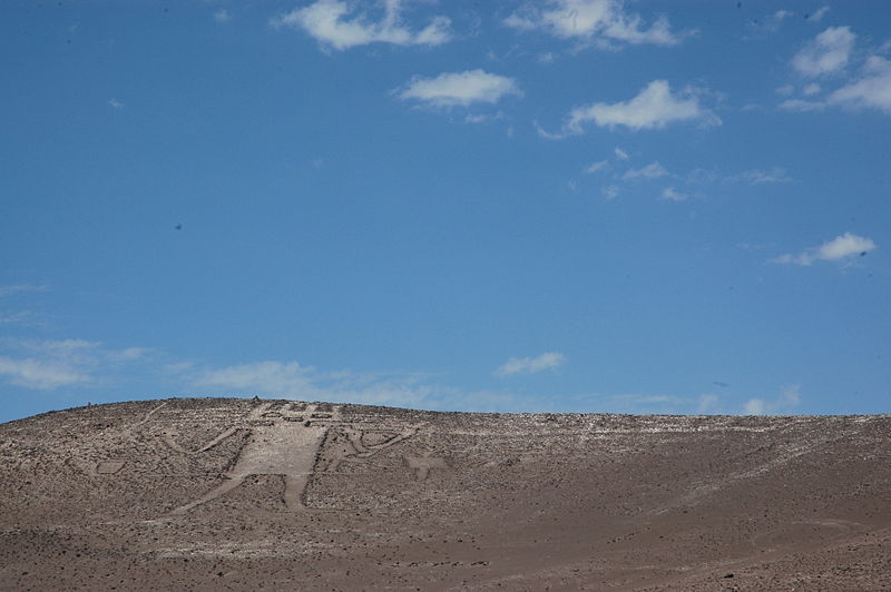 Atacamský obr. Kredit: Emilio Erazo-Fischer / Wikimedia Commons.