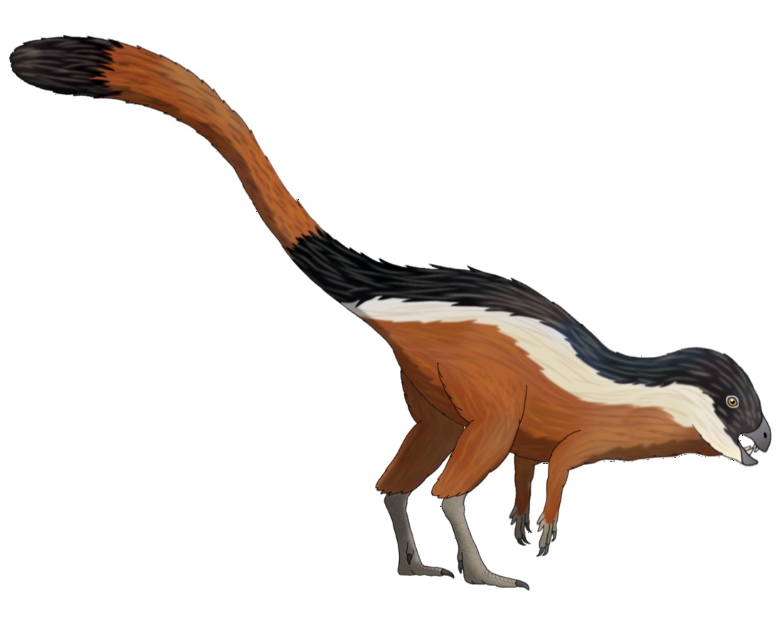 Po Jenkynsově eventu se začínají výrazně rozvíjet také zástupci ptakopánvých dinosaurů, mezi nimi i podivní heterodontosauridi. Jedním z nich byl také argentinský druh Manidens condorensis. Jak ukázal tvar jeho zubů, tito menší dinosauři mohli být do