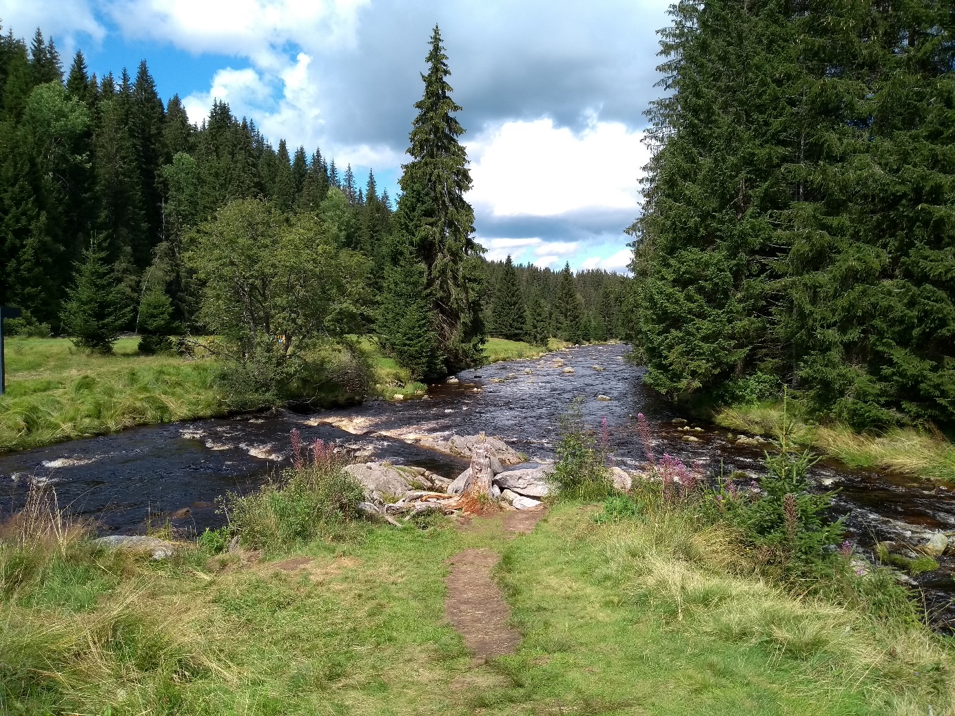 Spálíme své i cizí lesy pro výrobu elektřiny? Okolí Modravy, Šumava. (Foto Vladimír Wagner).