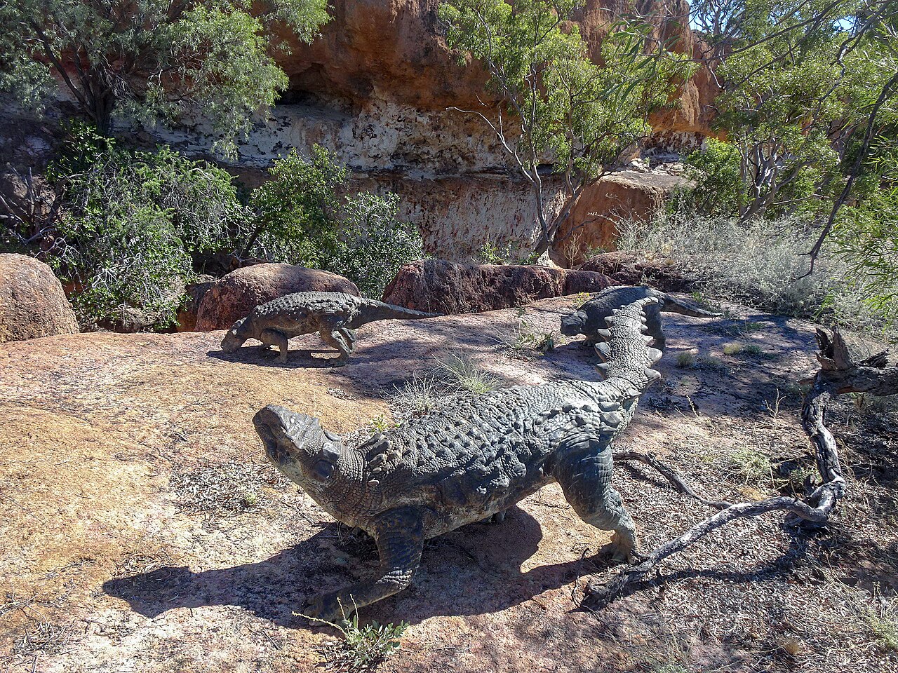 Modely ankylosaurního tyreofora druhu Kunbarrasaurus ieversi, jednoho z 24 dnes známých dinosauřích druhů, žijících kdysi na území Austrálie (resp. jihovýchodní Gondwany). Kredit: Michael Coghlan; Wikipedia (CC BY-SA 2.0)