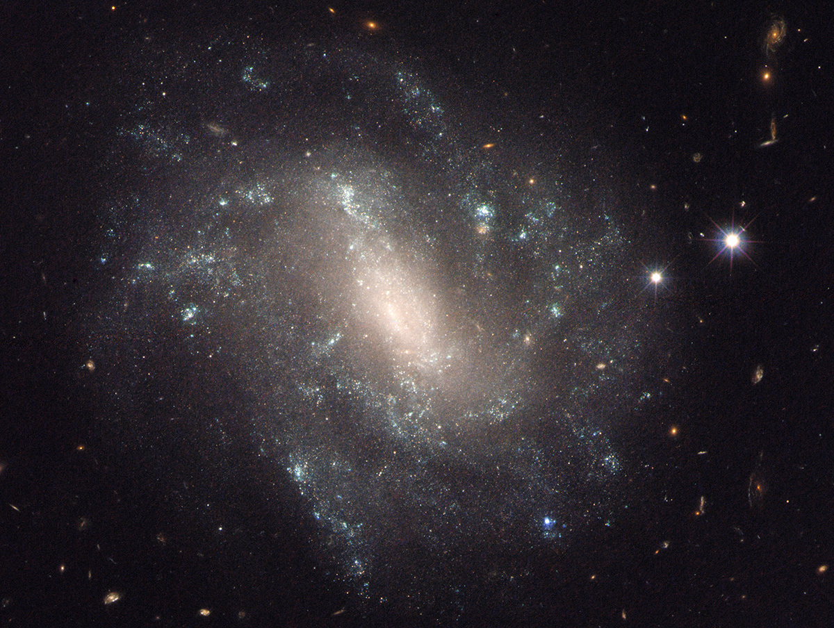Jedna zÂ galaxiĂ­ zahrnutĂ˝ch do vĂ˝zkumu Riessova tĂ˝mu. Kredit: NASA, ESA & A. Riess (STScI/JHU).