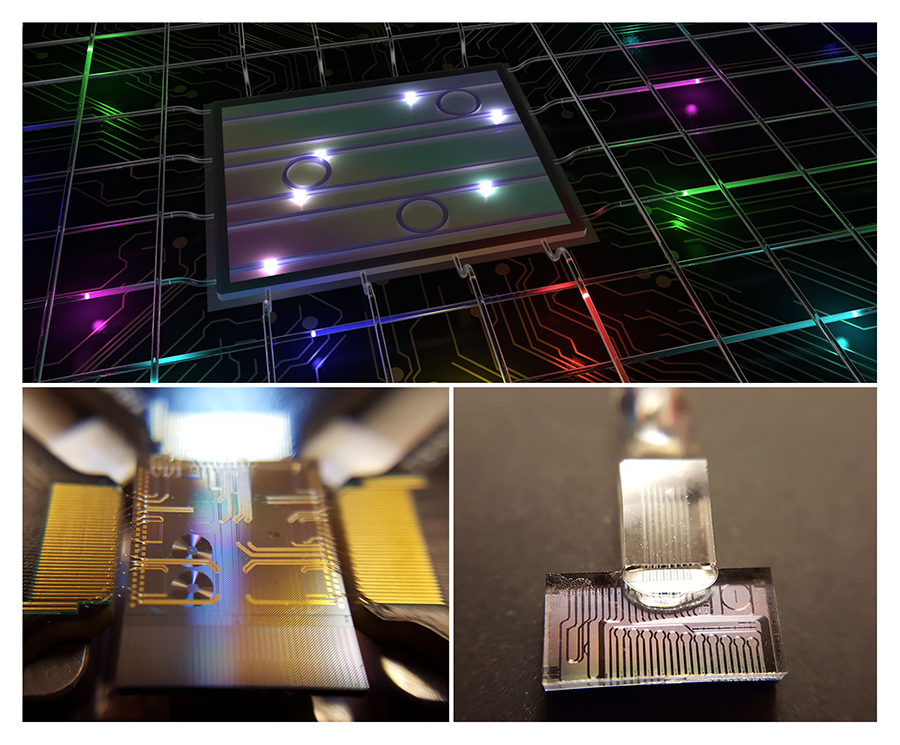 Fotonický čip s mnohobarevnými fotony. Kredit: INRS University.