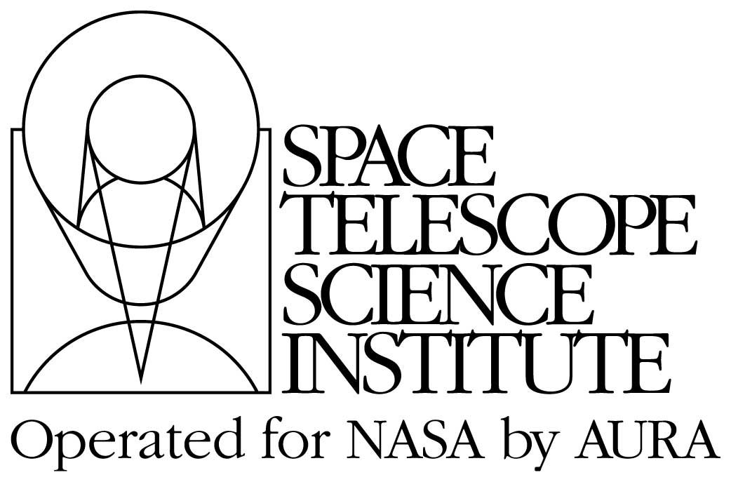 Logo Space Telescope Science Institute
