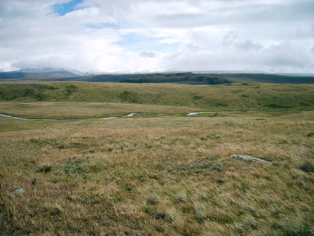 Planina Ukok v oblasti Altaje, jeden z dnešních zbytků mamutí stepi. Kredit: Kobsev, Wikimedia Commons.