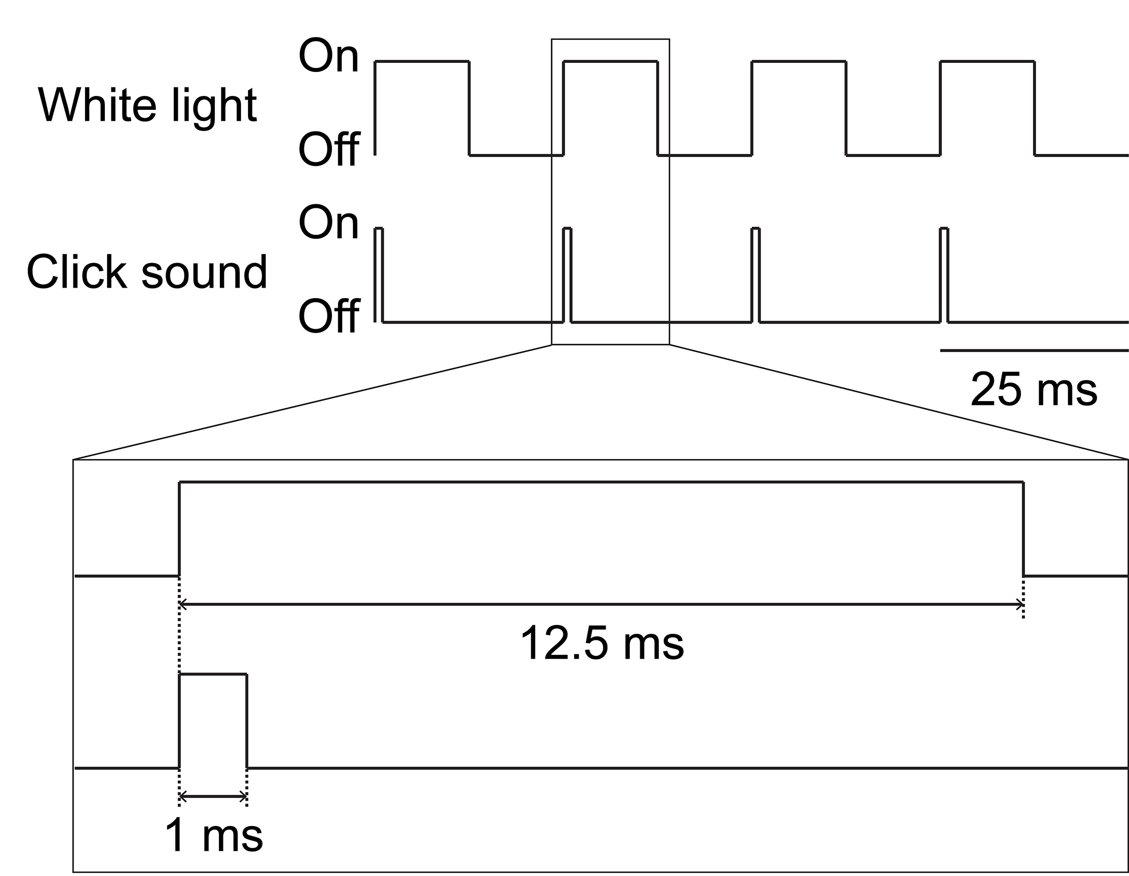 Schéma elektrických signálů, které zapínají nebo vypínají bílé světlo a zvukové pulzy pro souběžnou světelnou a zvukovou stimulaci při frekvenci 40 Hz. Kredit: Chan D, et al. (2022) Gamma frequency sensory stimulation… PLoS ONE 17(12): e0278412  (htt