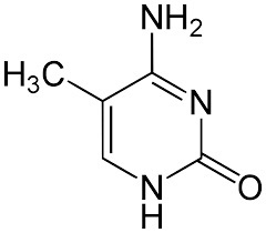 5-methyl cytosin