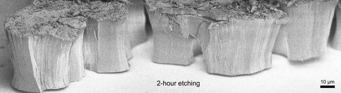 Snímek z elektronového mikroskopu odhaluje husté svazky nepředstavitelně tenkých křemíkových nanodrátků získaných z podkladu po dvou hodinách chemického leptání Kredit: Sen Gao et al., Nature Communications (2022)