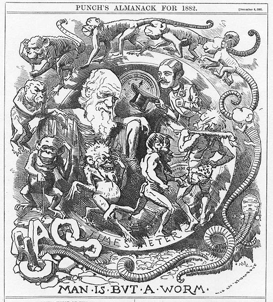 Darwin zasáhl svět už za svého života. Kredit: Wikimedia Commons, volně dostupné.