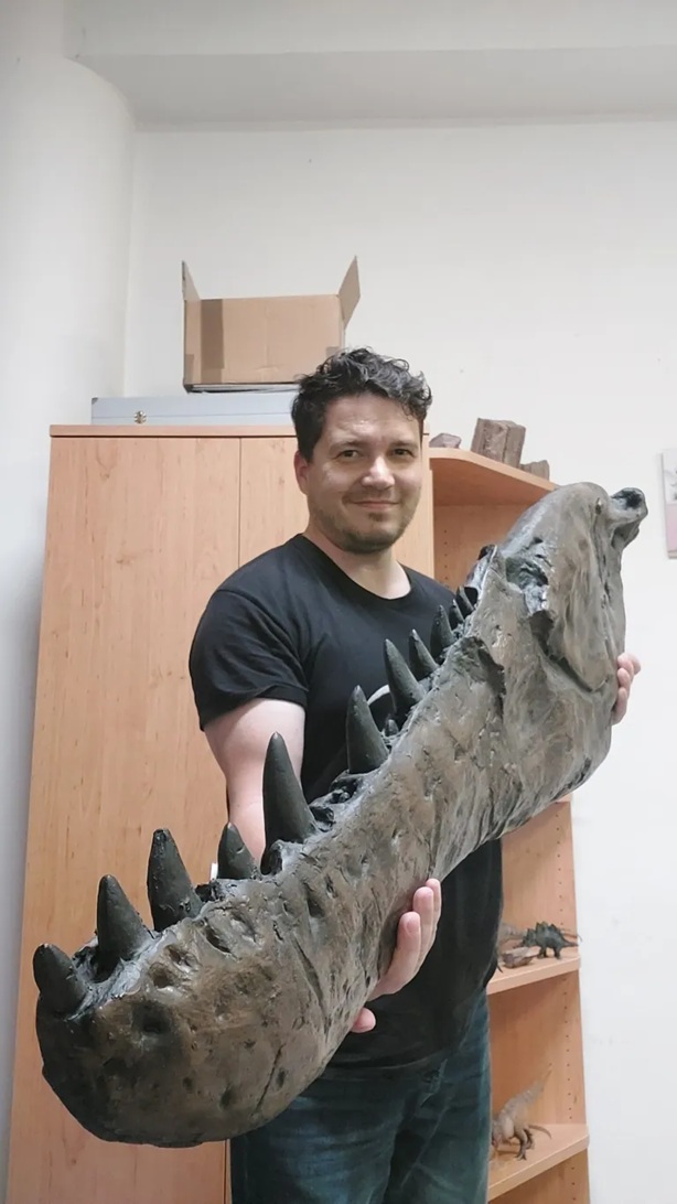 Replika dolní čelisti exempláře USNM 555000 (dříve MOR 555), tedy mladého dospělce tyranosaura, objeveného roku 1988 ve Východní Montaně. Jednalo se o dravce stejné hmotnosti, jakou mají dospělí sloni, schopného běžet rychlostí dostačující k překonán