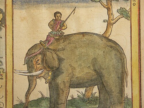 Slon ze Sumatry, Cosmographia 1544. Wikimedia Commons.