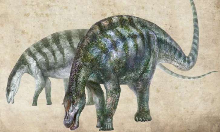 Rekonstrukce pravděpodobného vzezření nejstaršího známého neosauropoda, který dostal vědecké jméno Lingwulong shenqi. Tento asi 15 metrů dlouhý dinosaurus dokazuje, že vyspělejší vývojové skupiny sauropodů se na Zemi objevily asi o 15 milionů let dří