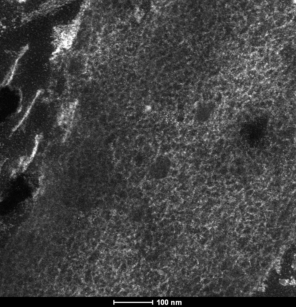 Struktura keratinového vlákna z peří Anchiornise je elektronovým mikroskopem patrná i po 160 milionech let. Imunochemicky se na něm dá zjistit, zda šlo o keratin alfa, nebo beta a dokonce i to, zda u beta-keratinu šlo o jeho kratší modifikaci. Kredit