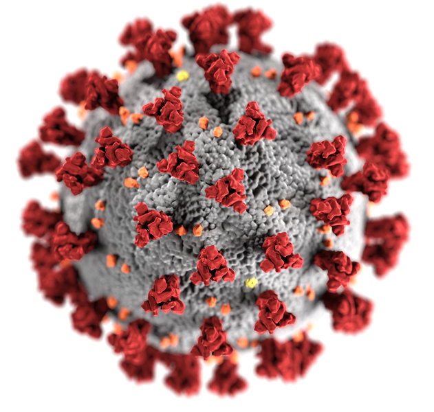 Australská vakcína V451 tenhle virus neporazí. Bohužel. Kredit: CDC / Wikimedia Commons.
