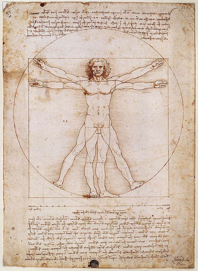 Leonardo da Vinci ztvĂˇrnil symetrii ve slavnĂ© perokresbÄ› VitruviĂˇnskĂ˝ muĹľ. Postava vepsanĂˇ tuĹˇĂ­ doÂ kruhu iÂ ÄŤtverce mĂˇ pupek ve stĹ™edu kruhu. Jak se nynĂ­ ukazuje, zĂˇklady naĹˇĂ­ symetrie sahajĂ­ aĹľ do doby pĹ™ed      (Kredit: Leonardo