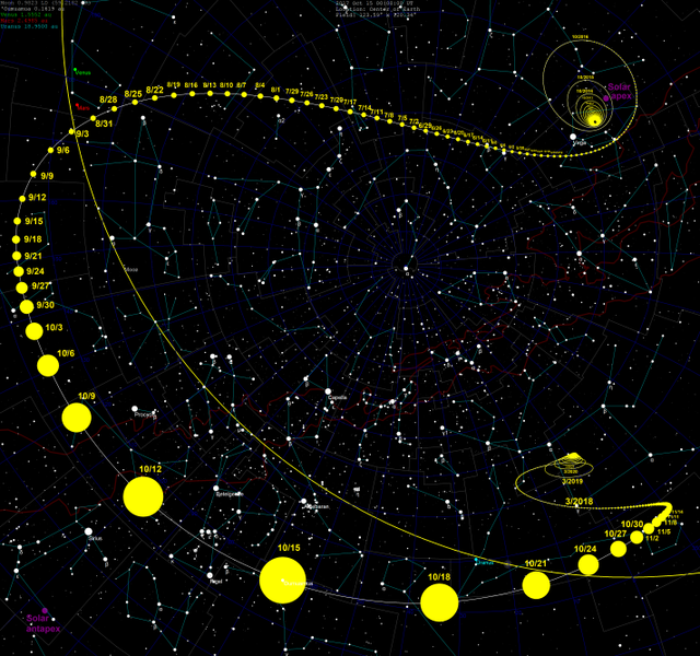 Zdánlivá trajektorie objektu ?Oumuamua. Kredit: Tomruen / Wikimedia Commons.