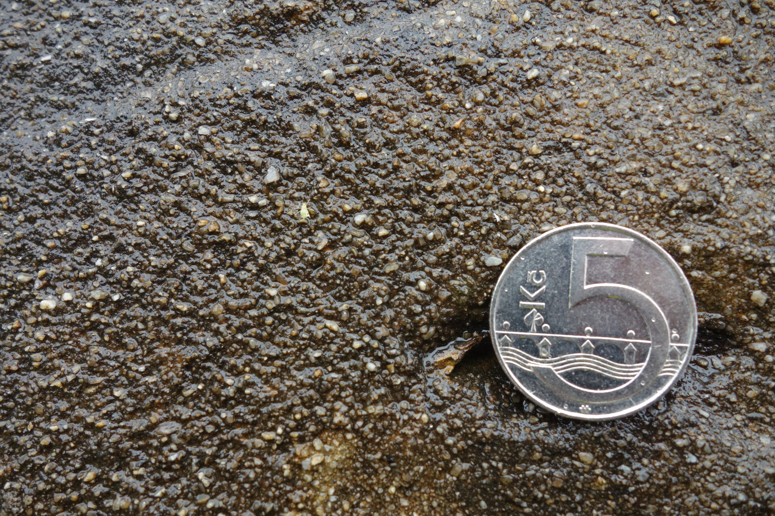 Detail povrchu kamenné koule. Foto: A. Uhlíř, říjen 2025.