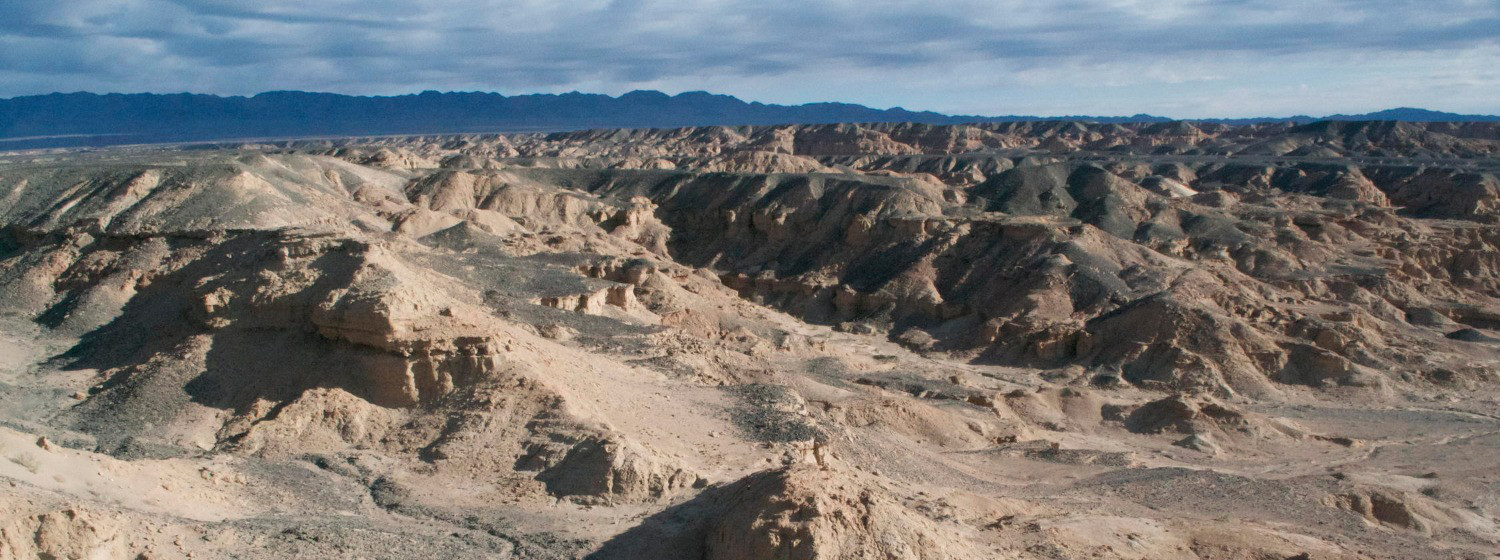 1 300 000 kilometrĹŻ ÄŤtvereÄŤnĂ­ch pouĹˇtÄ› ÄŤasem jistÄ› vydĂˇ mnohĂˇ dalĹˇĂ­ pĹ™ekvapenĂ­. (Kredit:  Mongolian Paleontological Center)