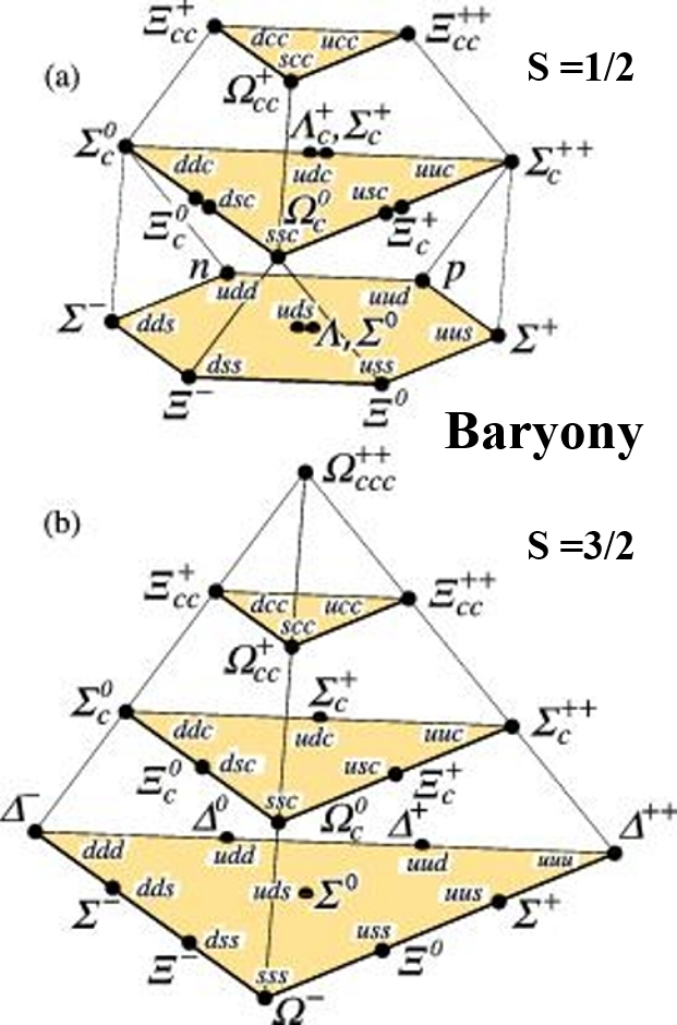 Základní stav baryonů s kvarky u, d, s a c může být se spinem ?, kdy je projekce spinů kvarků v opačném směru a spinem 3/2, kdy je orientace spinů kvarků v stejném směru. Nad každým základním stavem jsou excitované stavy (rezonance) s různou energií 