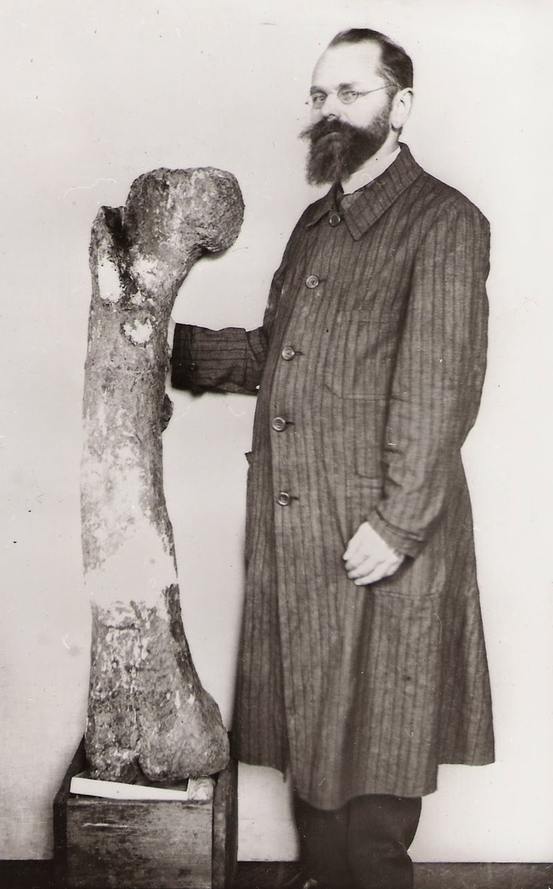Německý paleontolog Ernst Freiherr Stromer von Reichenbach pózující s obří stehenní kostí druhu Baharisaurus ingens. Tohoto velkého teropodního dinosaura popsal Stromer v roce 1934, o deset let později však byl materiál zničen při spojeneckém náletu 