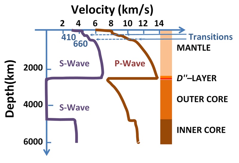 Rychlosti šíření seismických vln Zemí. Kredit: Brews ohare / Wikimedia Commons.