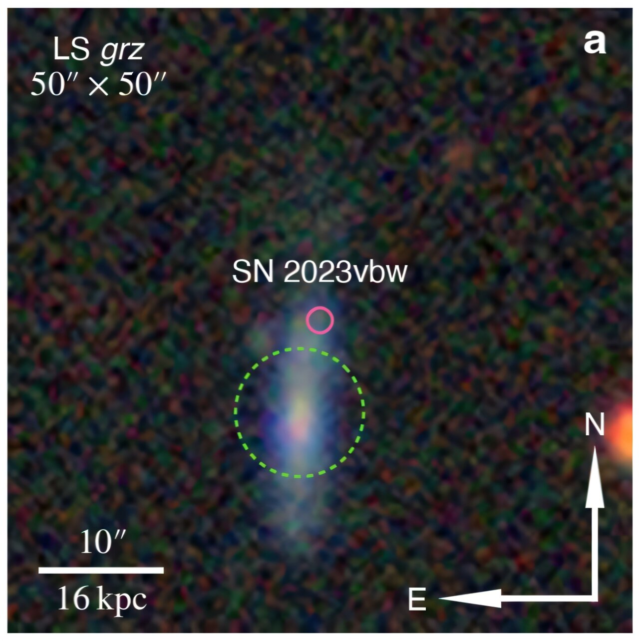 Veliká rána (růžově) maličké galaxii (zeleně). Kredit: Hiramatsu et al. (2026), arXiv.