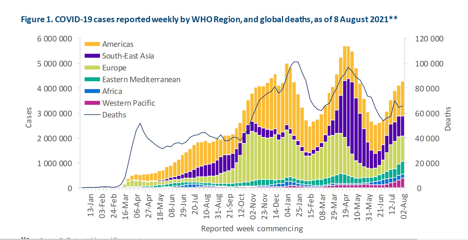 Covid -19 ako na horskej dráhe. Nezdá sa, že by choroba trvalo ustupovala. Zdroj: WHO COVID-19 Weekly Epidemiological Update Edition 52, published 10 August 2021.