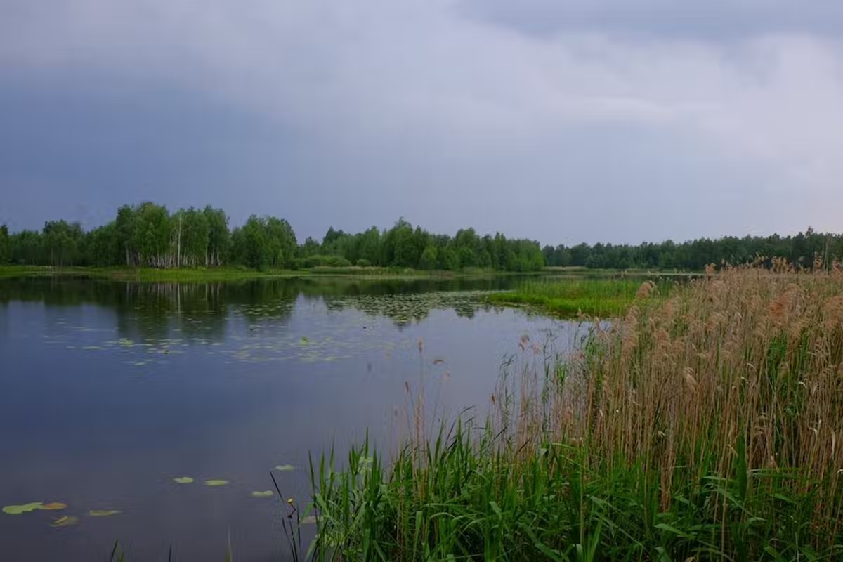 Jezero Glyboke, jedna ze studovaných lokalit. Kredit: Germán Orizaola.