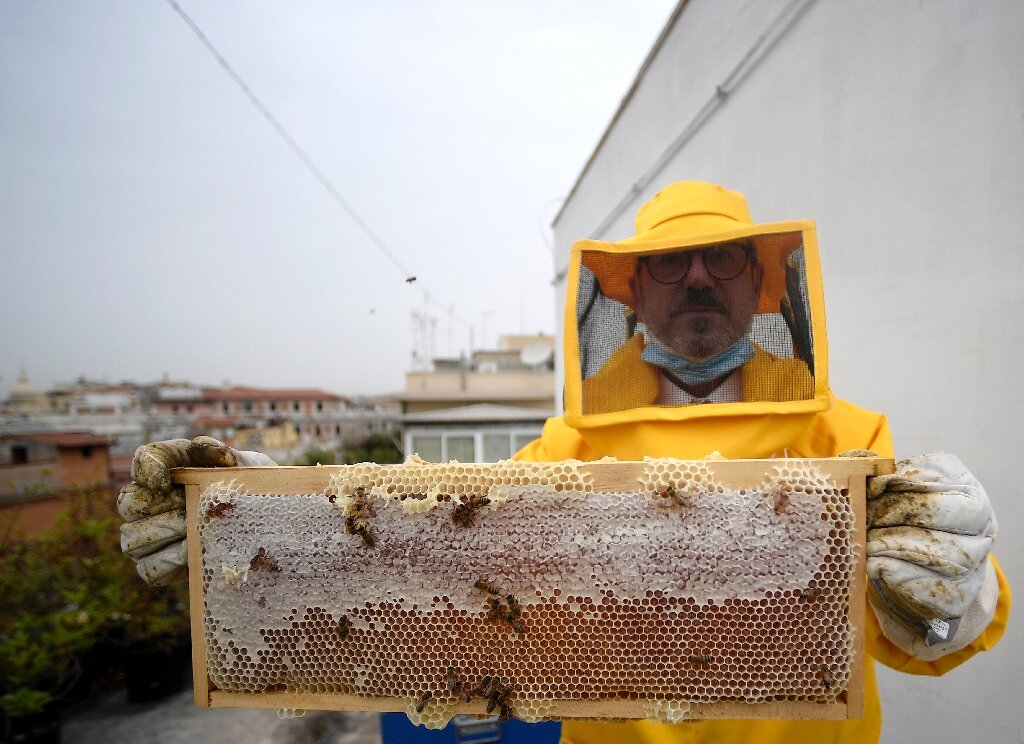 Spokojený včelař na střeše policejního velitelství v Římě se chlubí rámečkem se zcela zaplněným plástem medu. Kredit FAI (Italská federace včelařů).